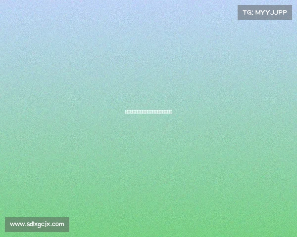 电子竞技动画片、《巅峰战歌：破阵时刻》